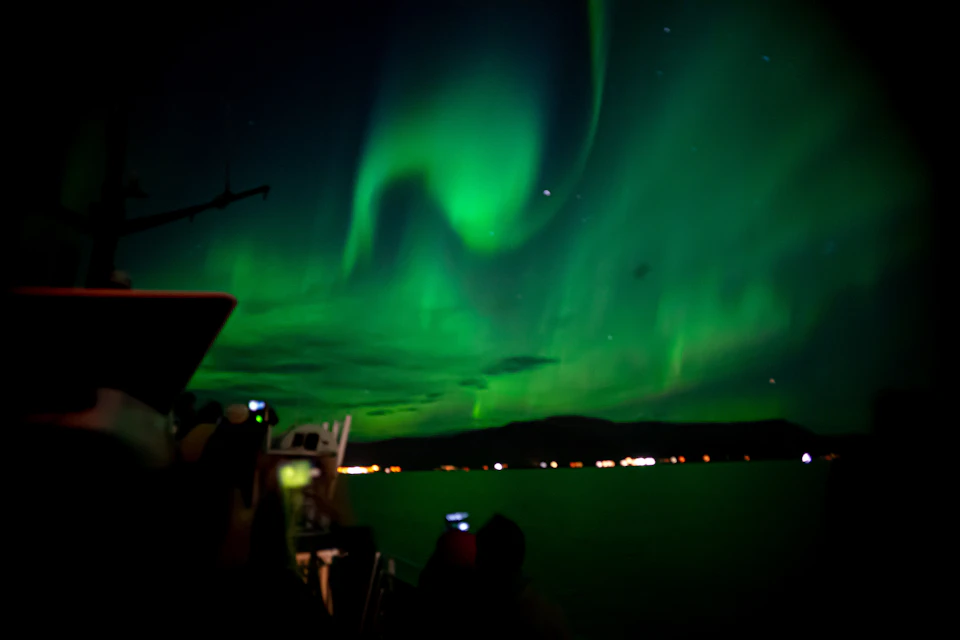 Northern Lights by Boat