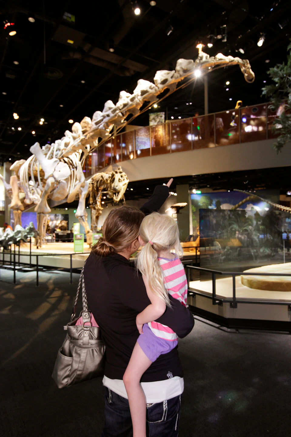 A woman holds and points with a child towards a large dinosaur skeleton inside a museum.