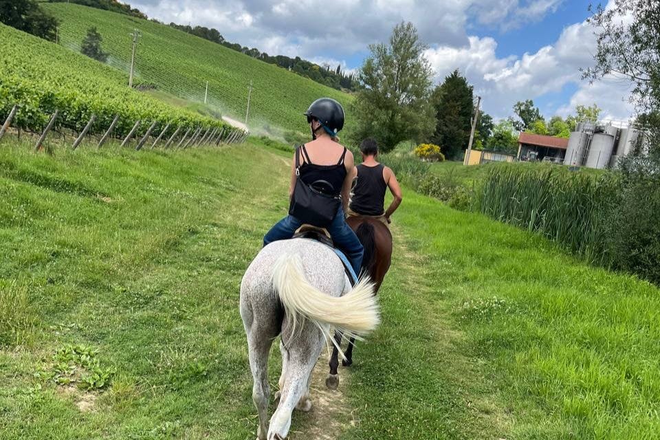 Regione del Chianti e San Gimignano: tour guidato + trasferimenti + pranzo + passeggiata a cavallo — 5