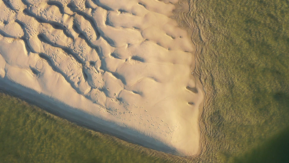 Aerial view of sandy beach with wind-sculpted patterns and footprints, next to greenish water.