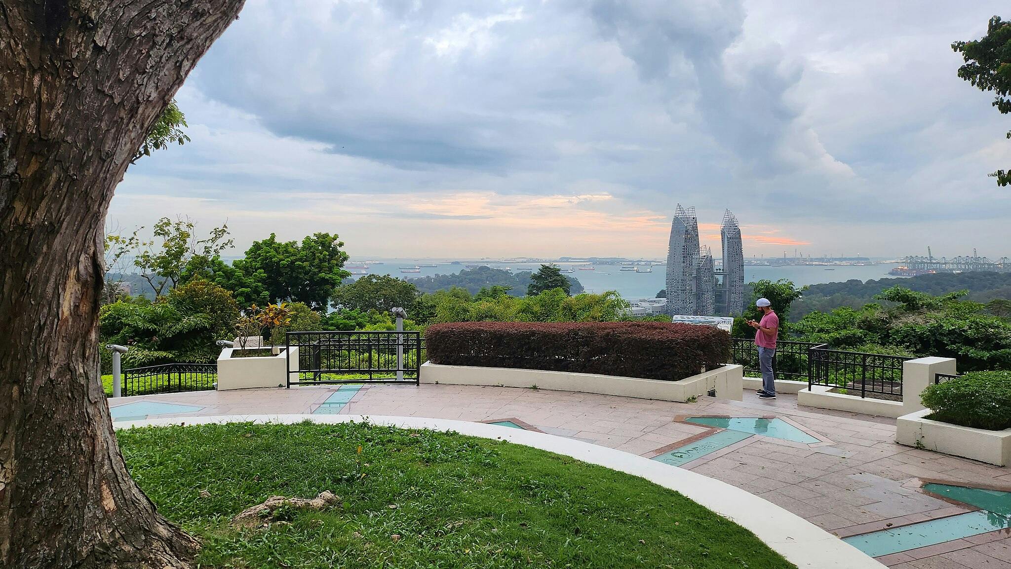 Una persona es troba en un mirador amb vegetació, amb vistes a un paisatge urbà amb edificis alts i vaixells llunyans sota un cel ennuvolat.