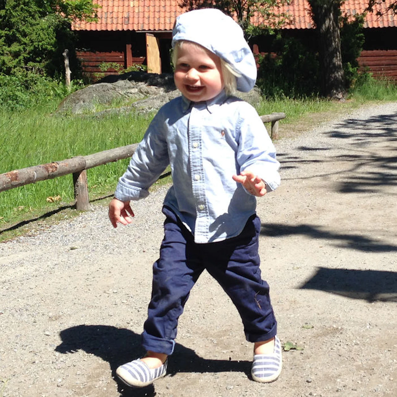 Skansen: Open-Air Museum and Nordic Zoo in Stockholm β Tiqets