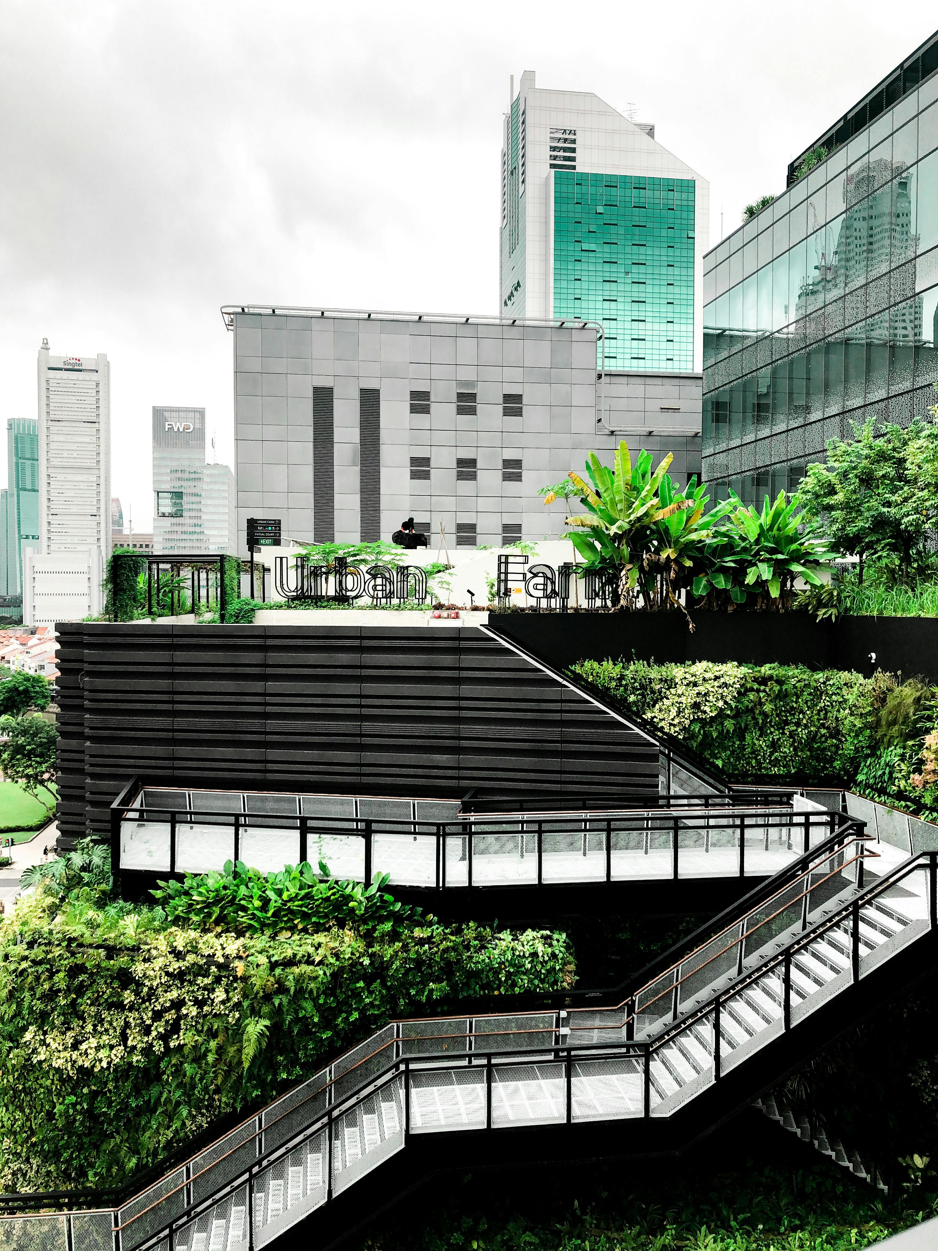 Un giardino urbano su più livelli con una vegetazione lussureggiante, situato sul tetto di un edificio e inserito in un paesaggio urbano di edifici alti.