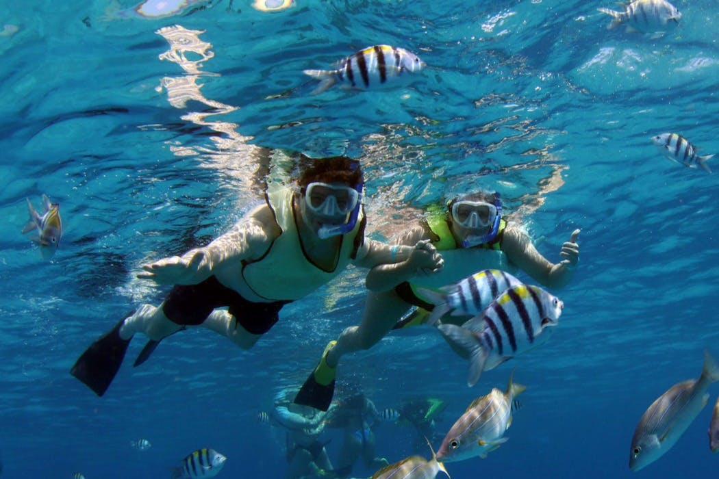 Oahu: Passeio de barco guiado para observação de golfinhos ao pôr do sol + Snorkeling + Buffet - Photo 7