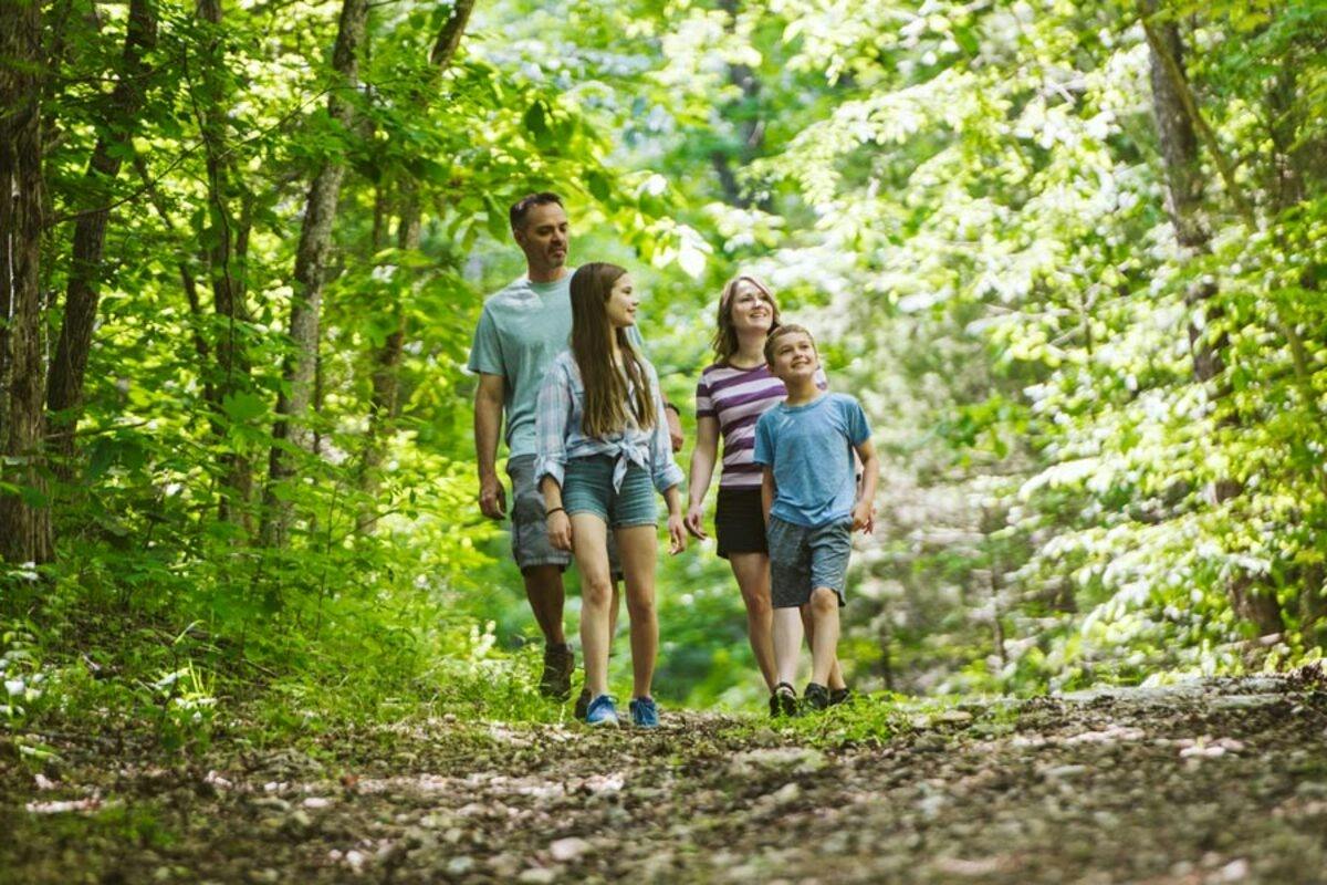A family of four walking together on a forest path surrounded by greenery.