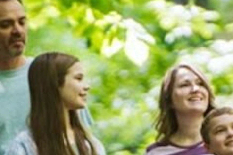 A family of four walking together on a forest path surrounded by greenery.