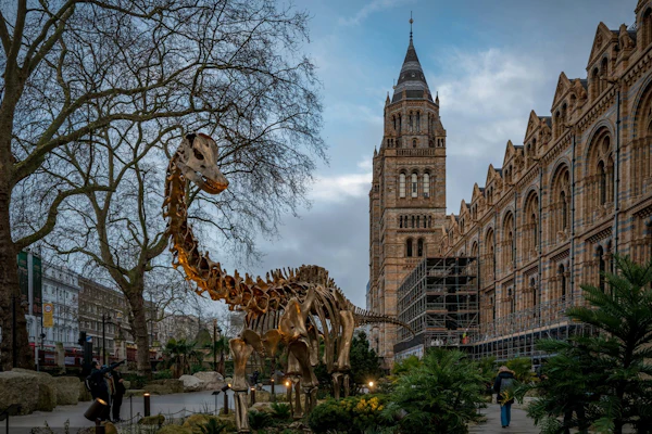 【激レア・ロンドン自然史博物館限定品】　ピンバッジ4個入りセット ロンドン自然史博物館ツアー | Klook