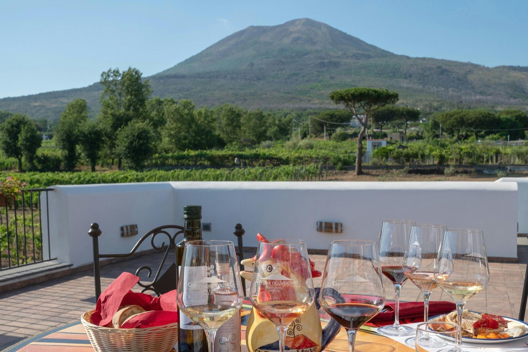 在维苏威火山上的一个葡萄园里品尝葡萄酒