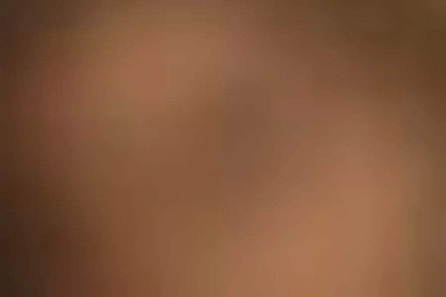 維也納上貝爾維第及古斯塔夫·克林姆永久收藏票券