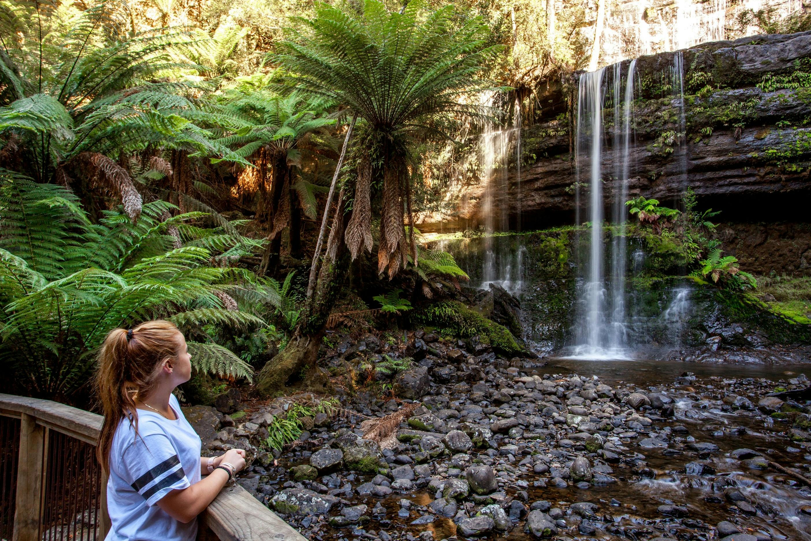 A person in a white shirt stands at a wooden railing, observing a lush, fern-filled forest with a cascading waterfall.