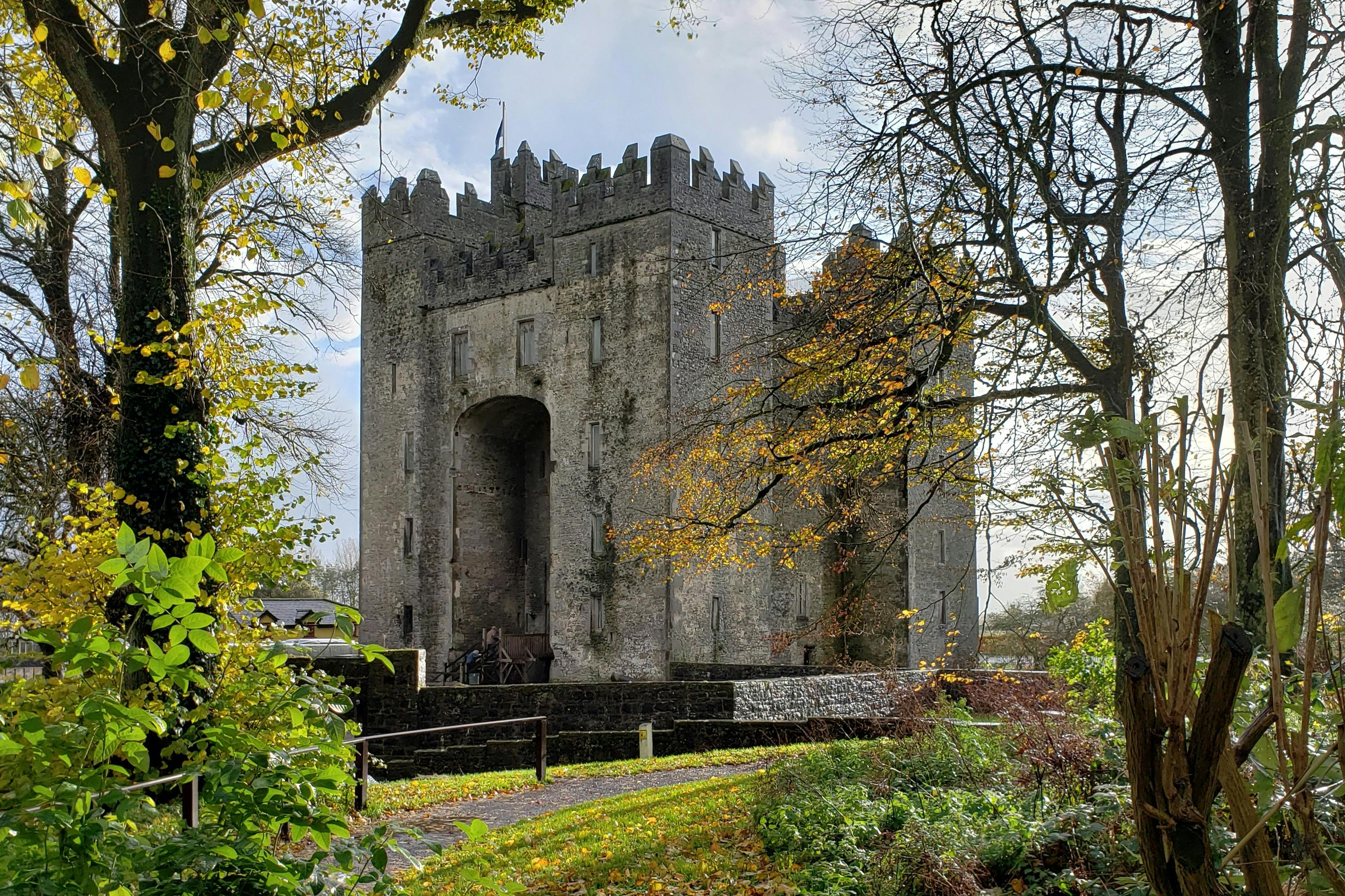 Guinness Storehouse Experience + Drink + Cliffs Of Moher, Bunratty ...