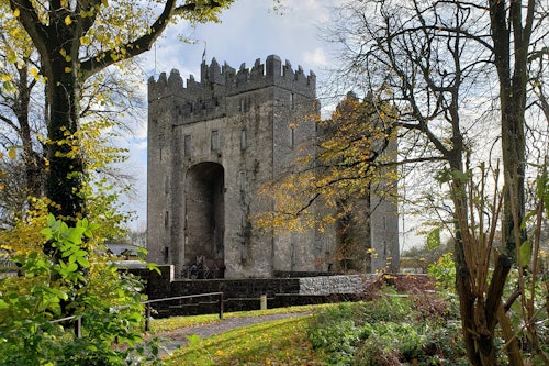 Cliffs of Moher, Bunratty Castle & Ennis Town: Day Tour from Dublin