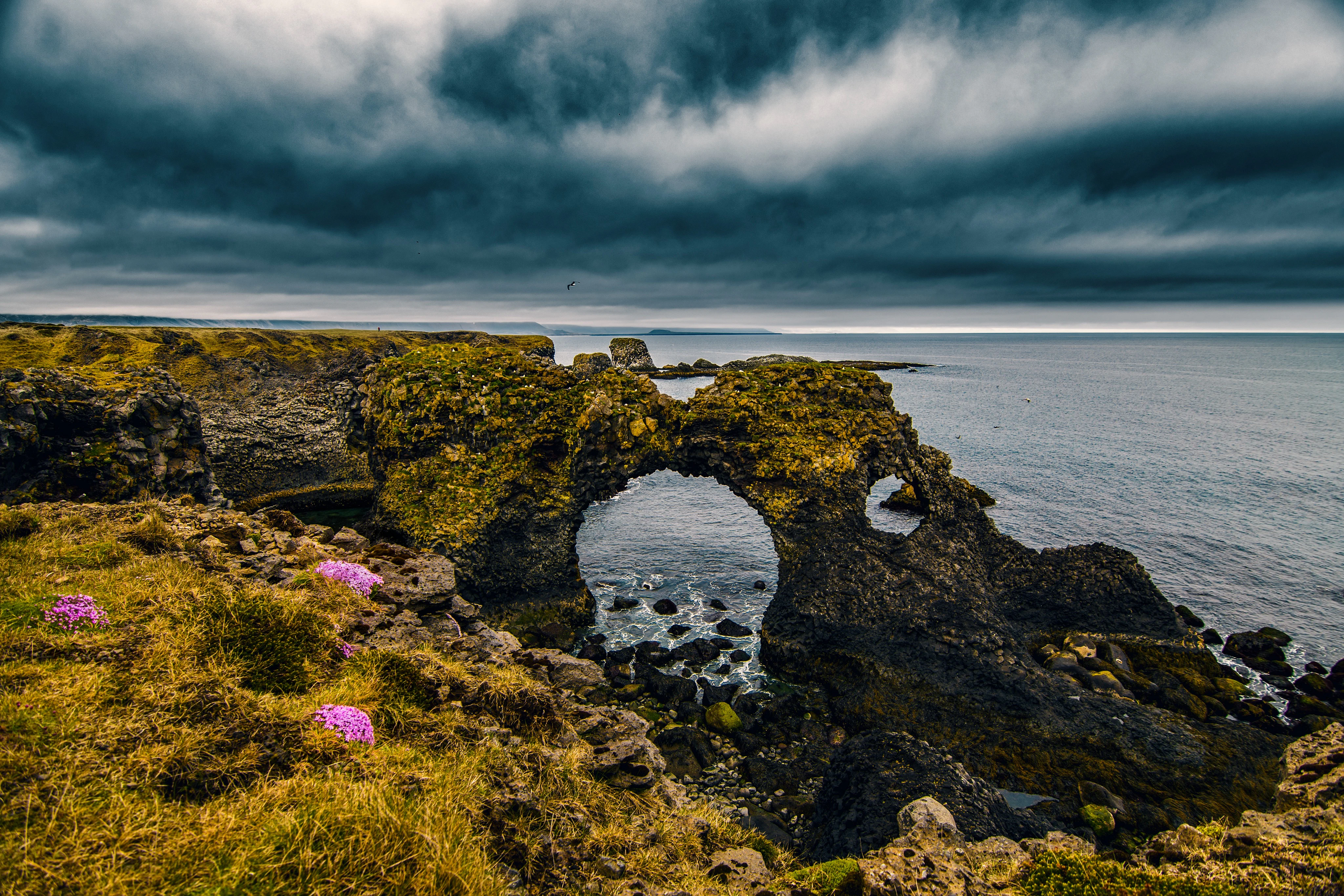 Snæfellsnes: Black Beach Day Trip + Dinner