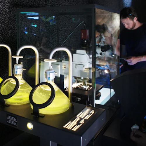 Tre stora kolvar med ljusgul vätska och förstoringsglas, invecklad laboratorieutrustning och en person i bakgrunden.