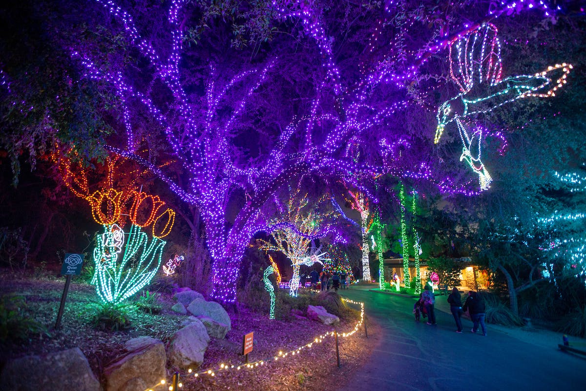 公园小径在树木和雕塑上装饰着充满活力的五彩缤纷的灯光，人们步行欣赏展品。