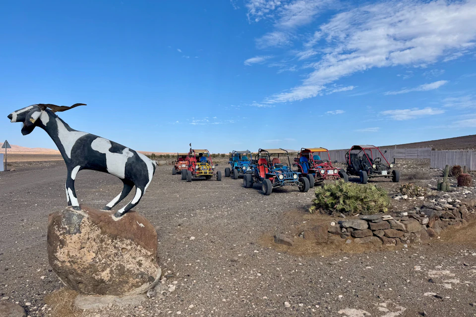 Buggy tour