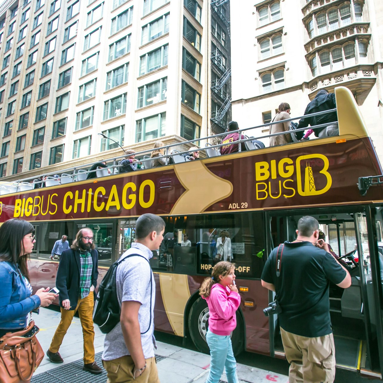 Chicago Night Bus Tour - Accommodations in Chicago