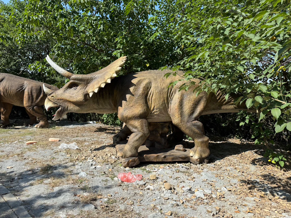 A life-sized triceratops statue in an outdoor setting, partially obscured by trees and surrounded by scattered debris.