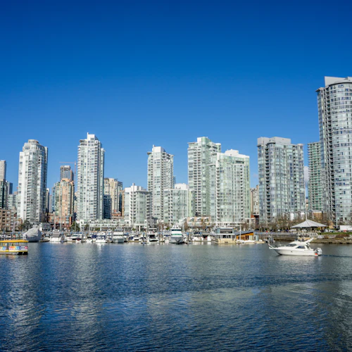 Vancouver: Visita guiada de autocarro, entrada na Lookout Tower e passeio a pé pelo Stanley Park - Photo 4