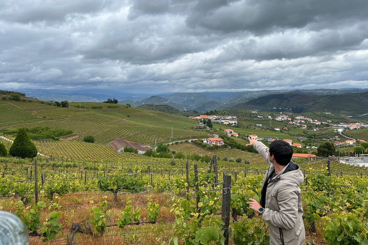 Besøg på Douro Valley Vineyards