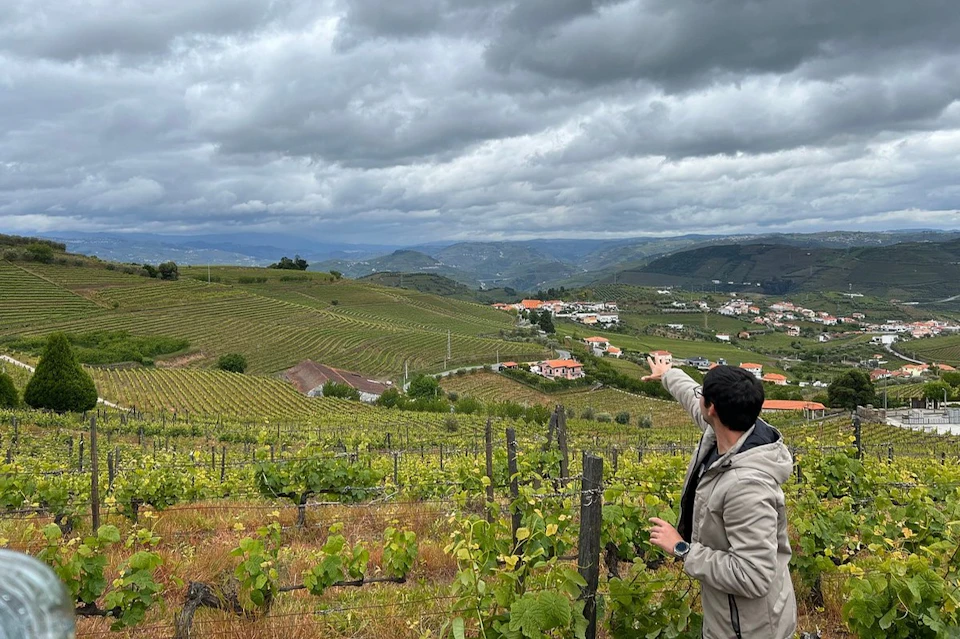 Visit to the Douro Valley Vineyards
