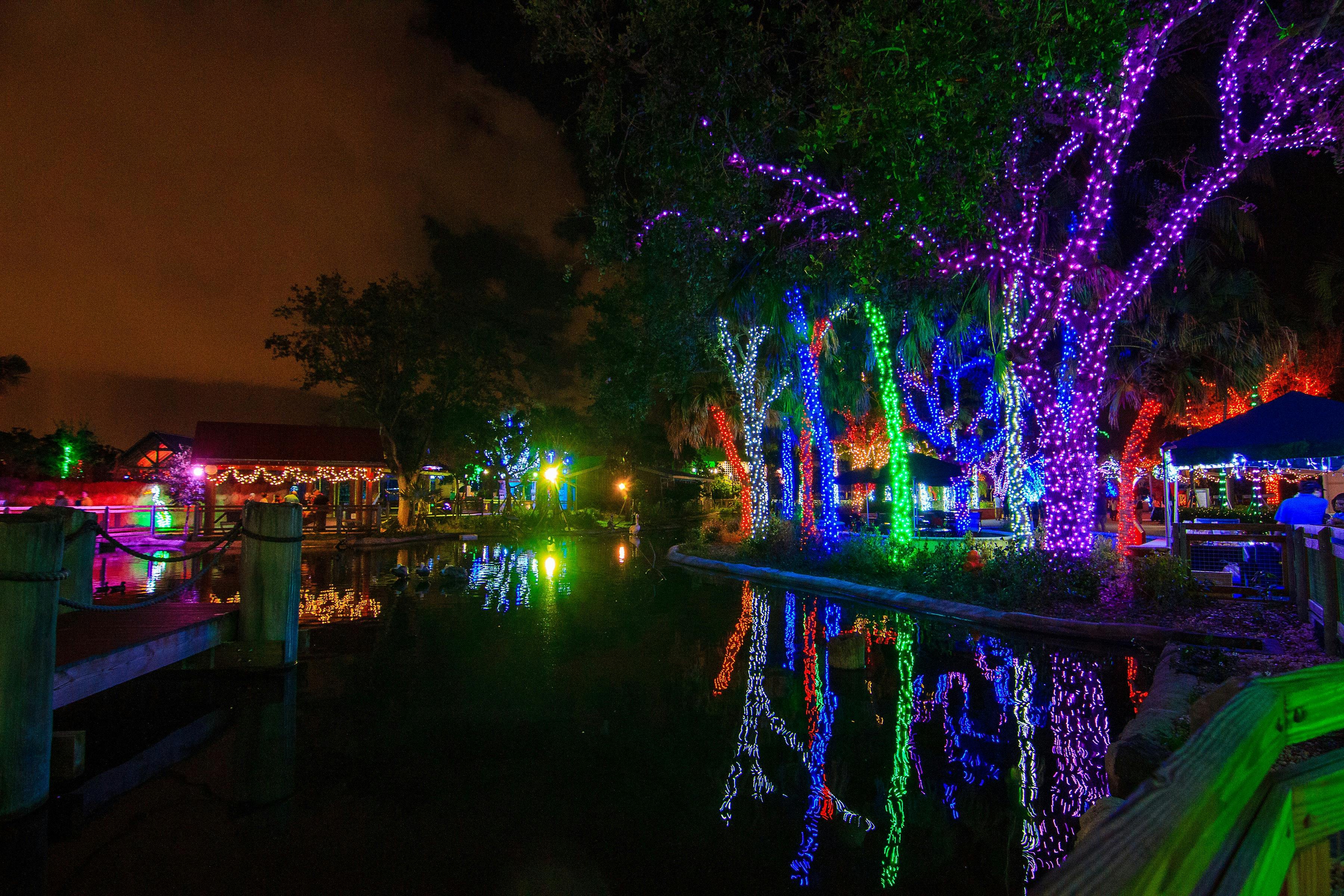 マイアミ動物園の灯り