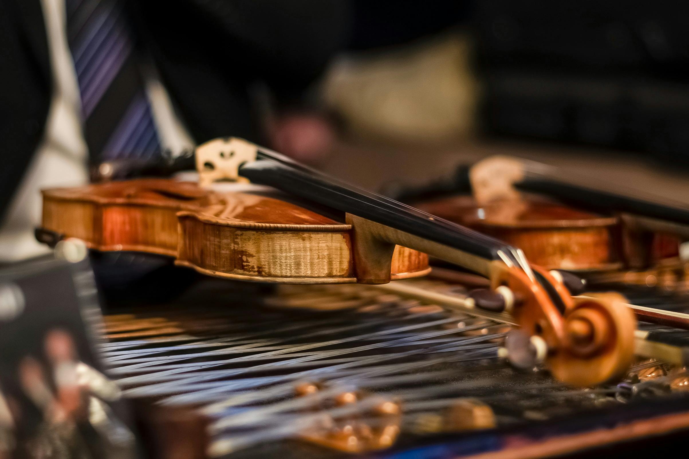 Gipsy Live Performance