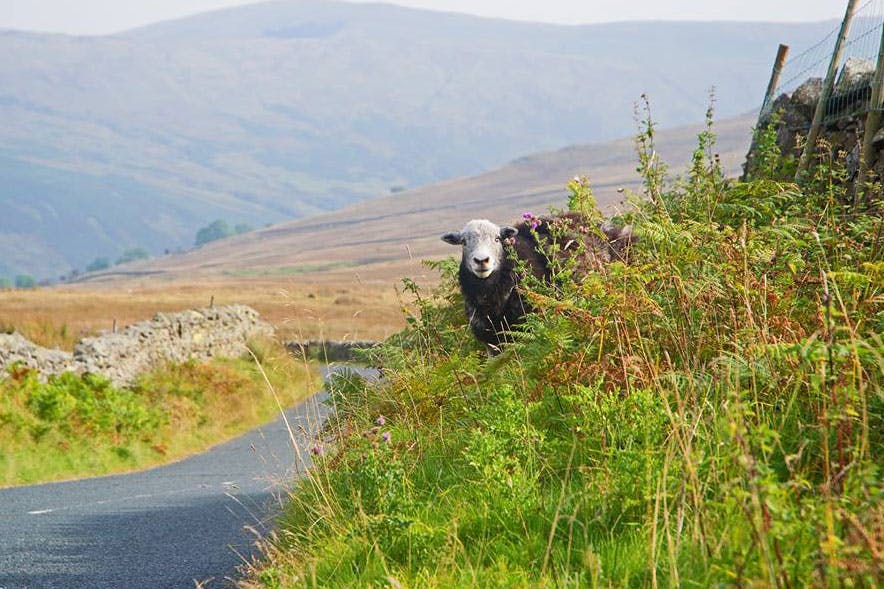 The High Adventure from Windermere