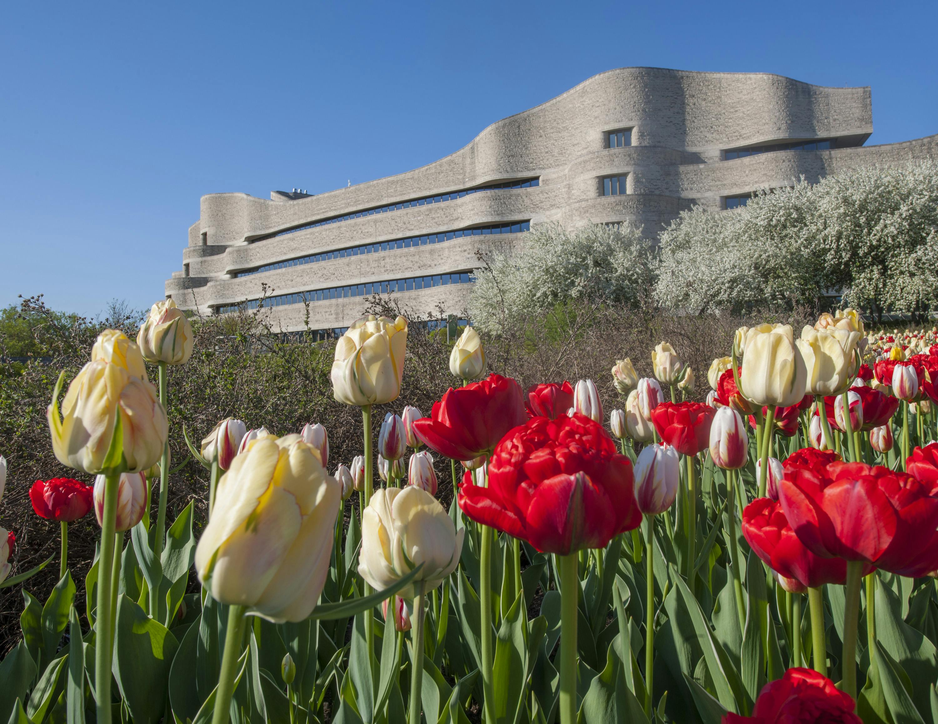 Museums in Gatineau: Tickets and Tours