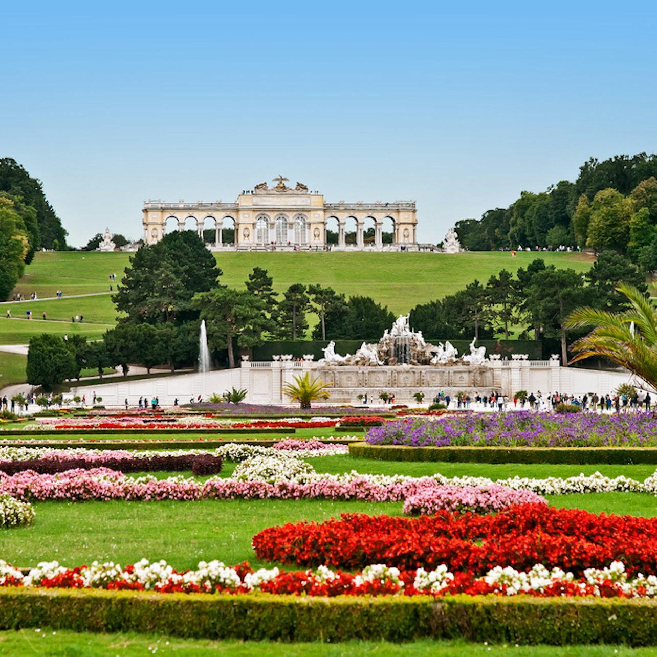 Palacio de Schönbrunn: Sin colas y tour de Viena - Alojamientos en Viena