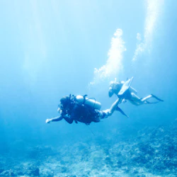 Hurghada: Scuba Diving Adventure + Transfers + Lunch 3