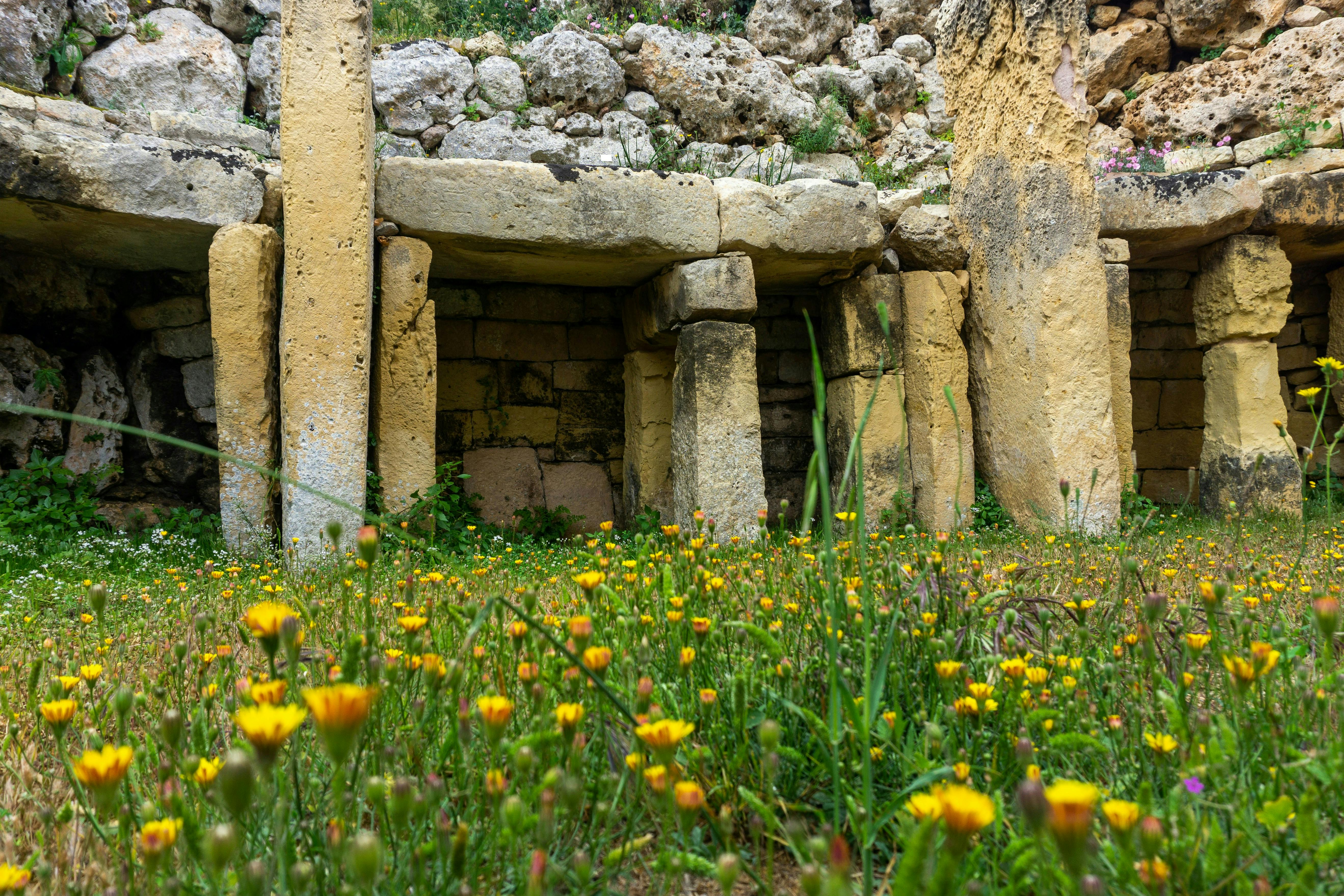 Antiche colonne di pietra circondate da fiori di campo gialli e verde, con uno sfondo di rocce rovinate dagli agenti atmosferici.
