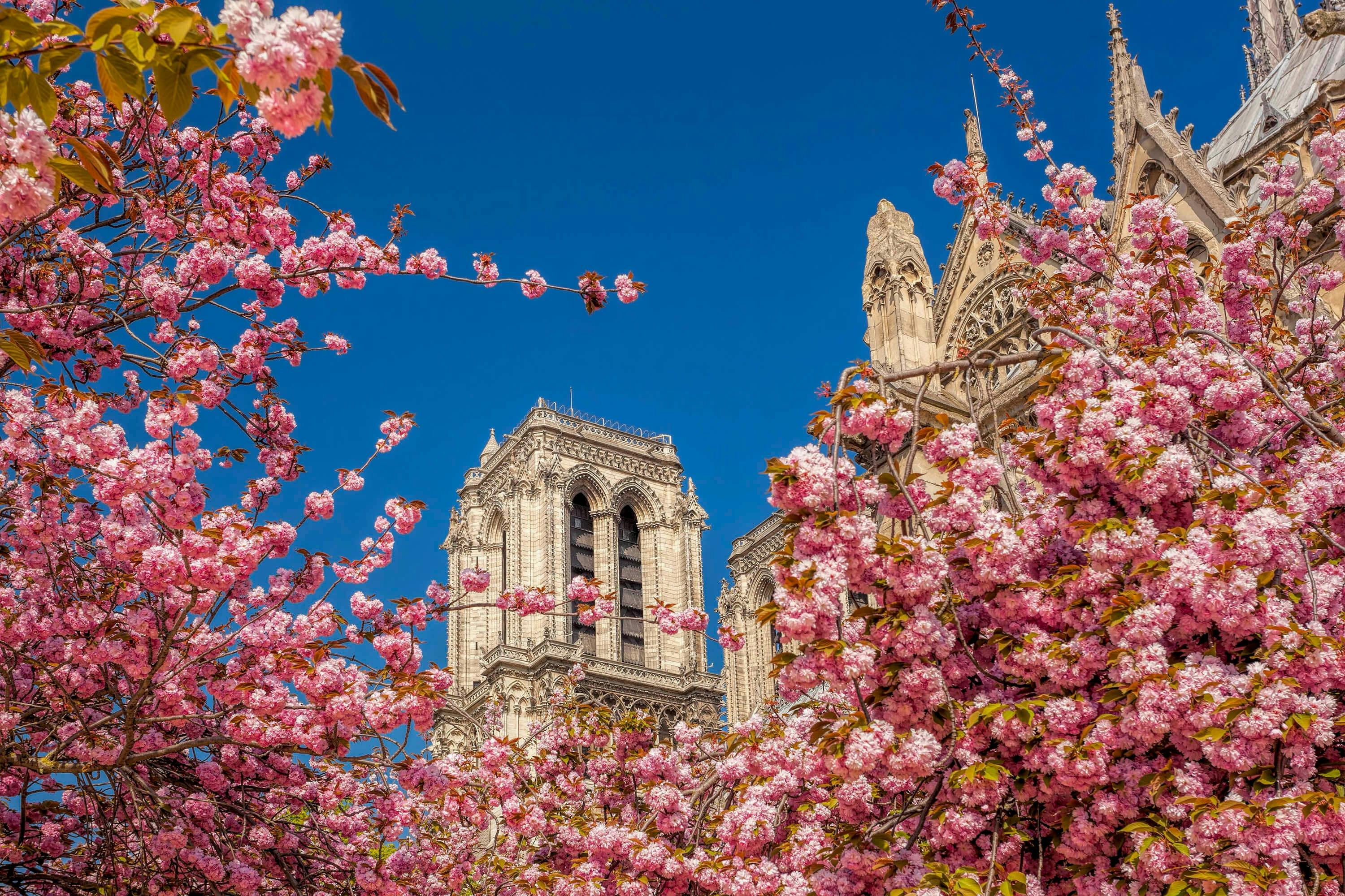θέα κατά μήκος της διαδρομής