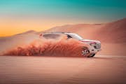 Safari por el desierto Abu Dhabi