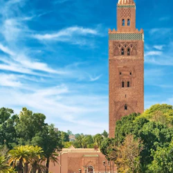Marrakesh: Private Medina, Palaces & Tombs Tour