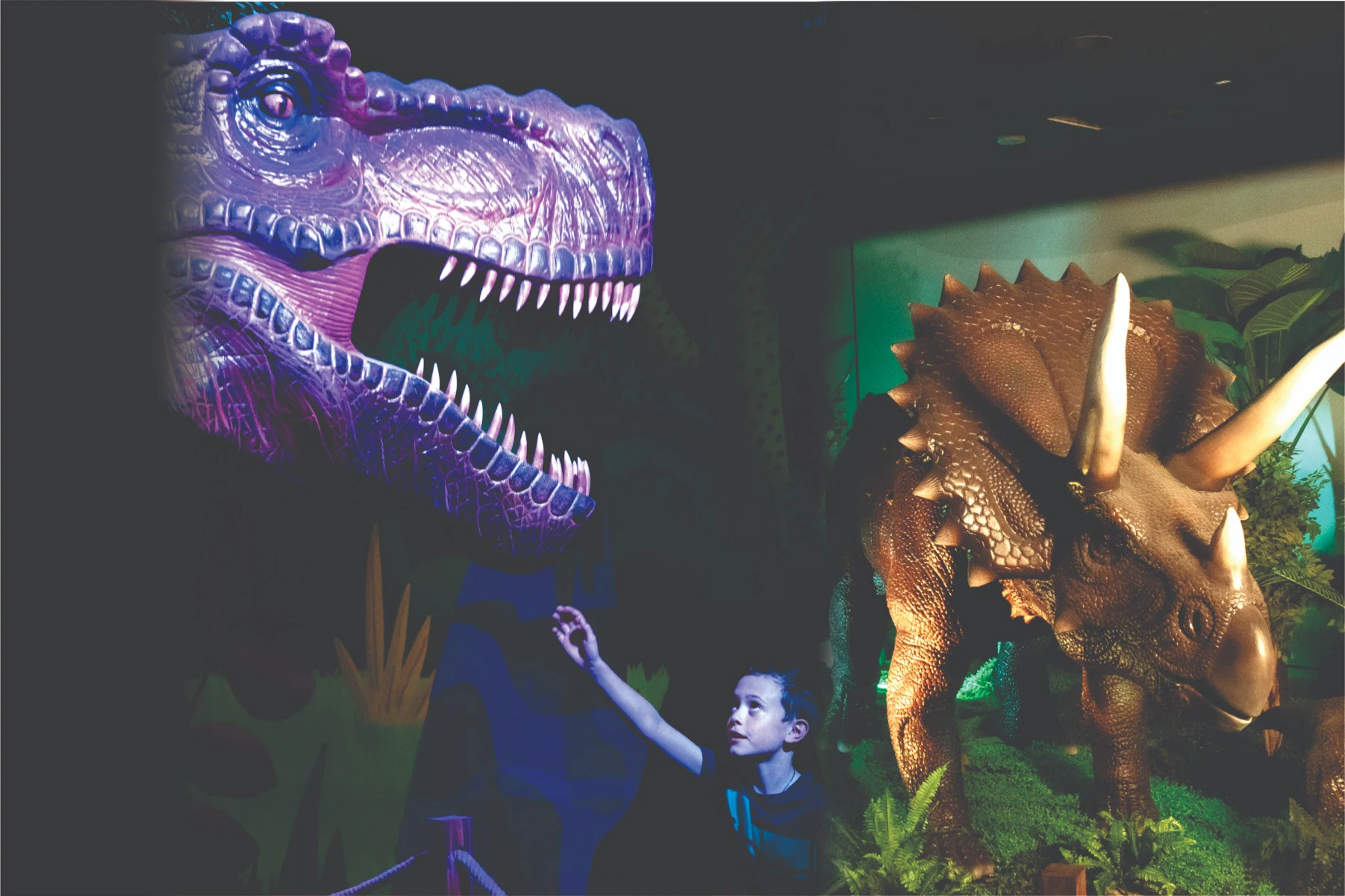 Dinosaur Outpost: Entry Ticket
