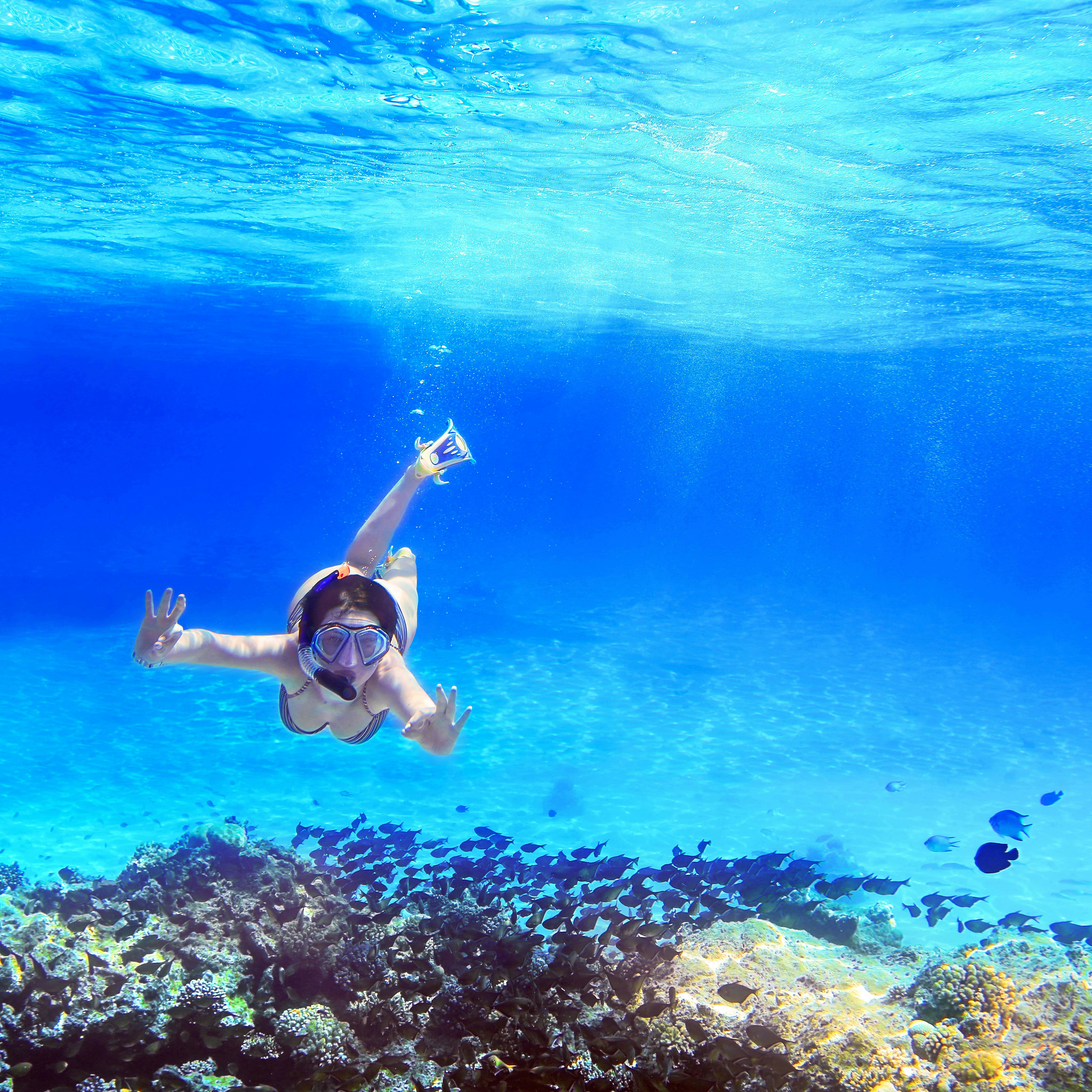 Excursão de barco e snorkeling de meio dia de Amalfi a Positano