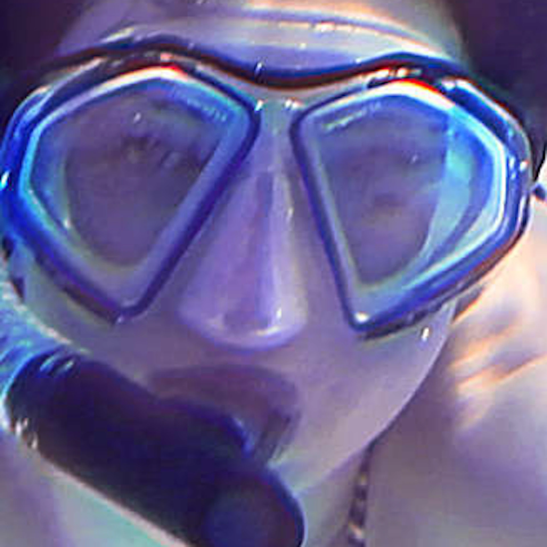 A snorkeler swims underwater above a vibrant coral reef with small fish swimming around. The water is clear and blue.
