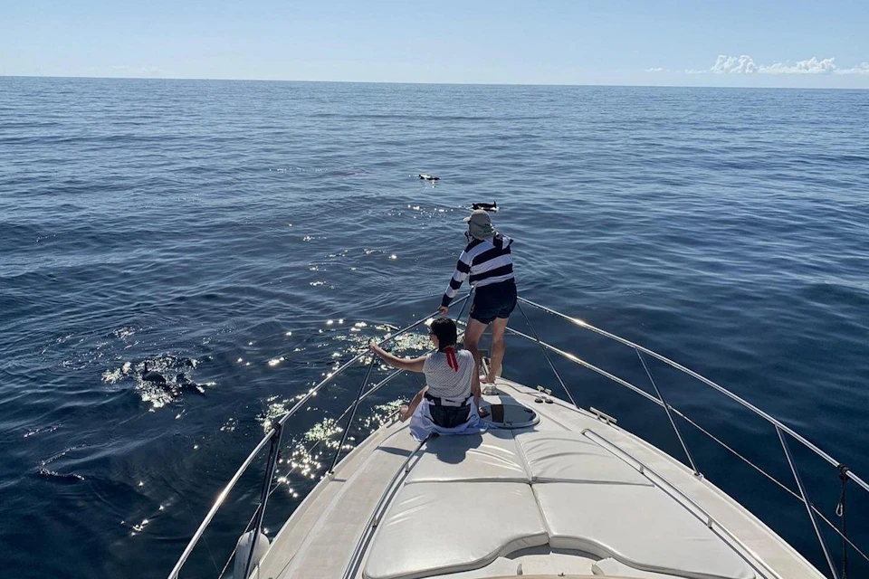 Dolphins, Boat Trips, Keeper Uno Canary Islands