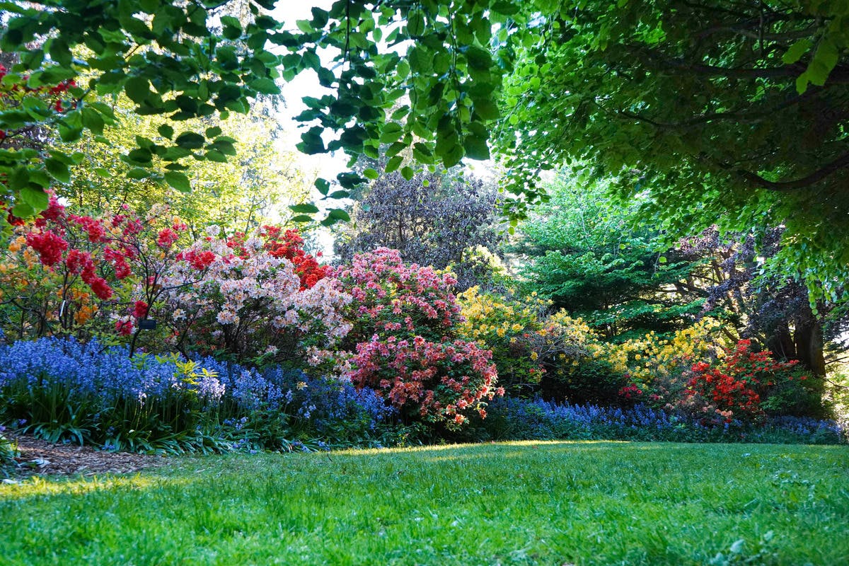 VanDusen Botaniske Haver