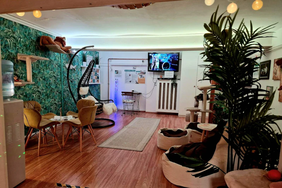 Jungle Room