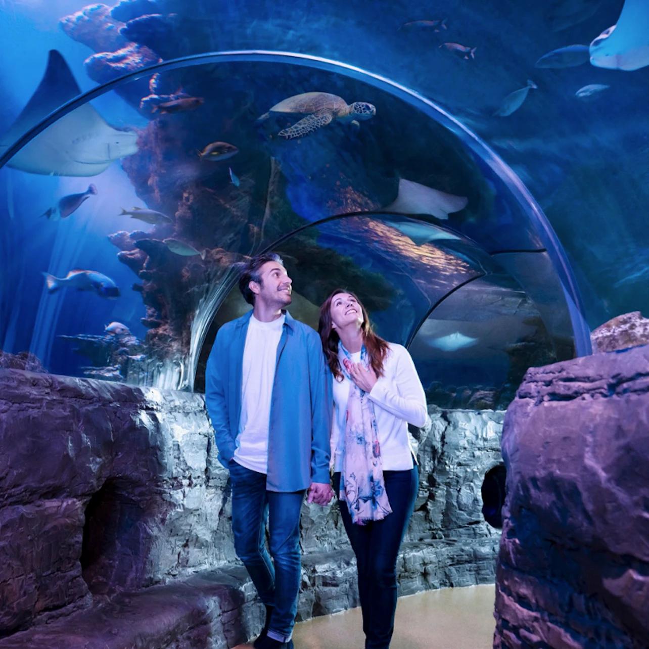 A couple walks hand in hand through an aquarium tunnel, surrounded by aquatic life and illuminated in blue.