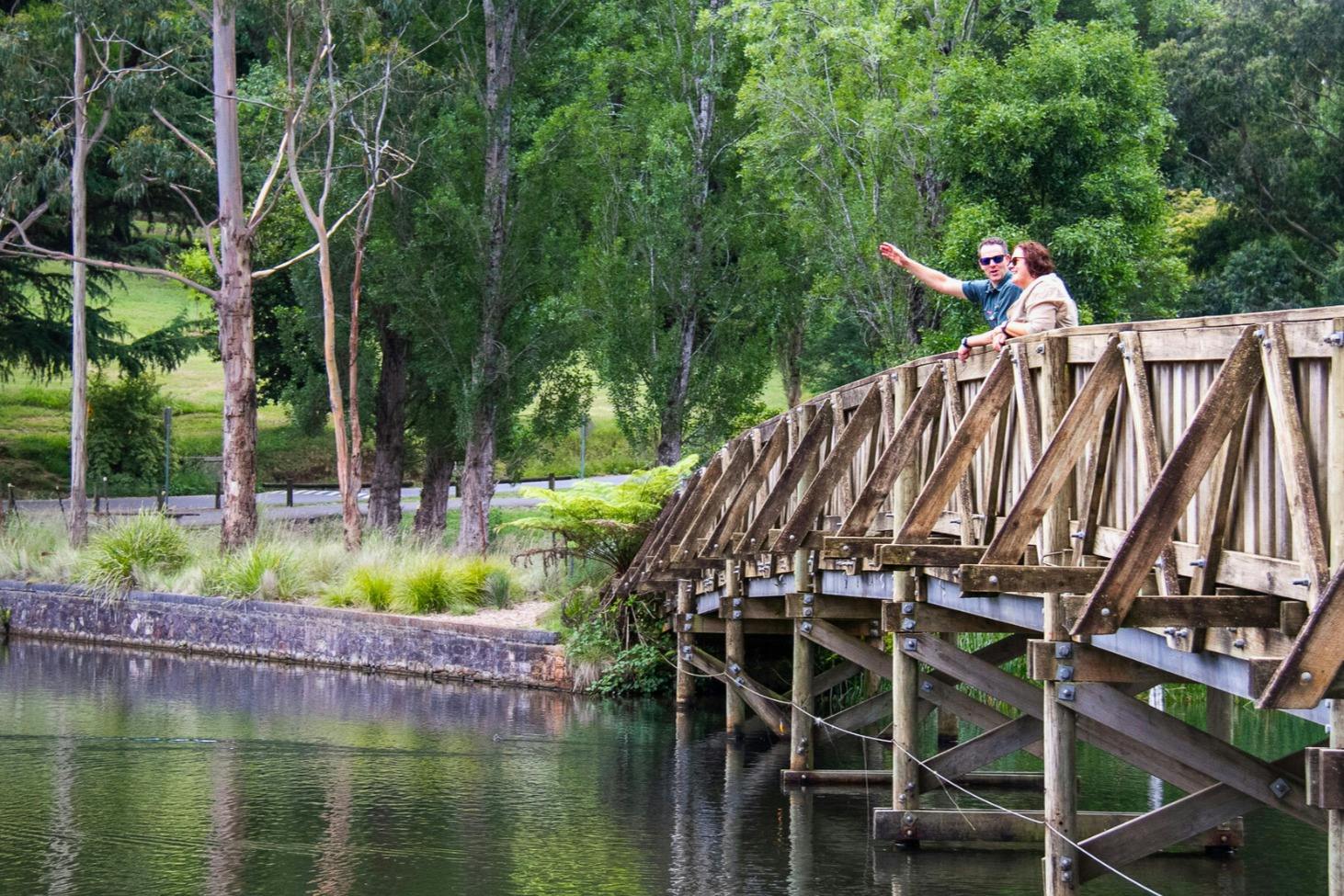 Emerald Lake Park: Guided Tour from Melbourne + Puffing Billy + Hotel Transfers 4
