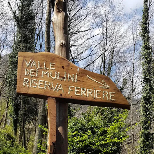Ferriere Waterfalls: Guided Tour from Amalfi
