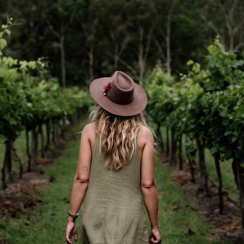 Montanha Tamborine: Excursão guiada de ônibus hop-on hop-off saindo de Brisbane + degustação de vinhos - Photo 6