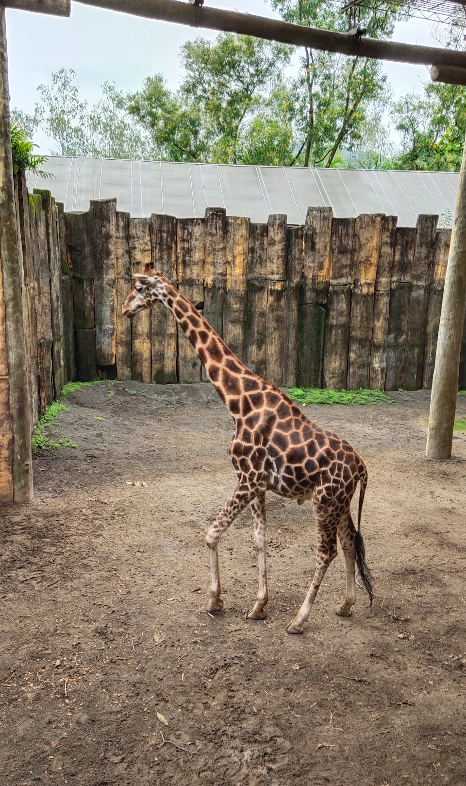 Avilon Zoo: Group Bundle Ticket - Buy 3, Get 1 Free