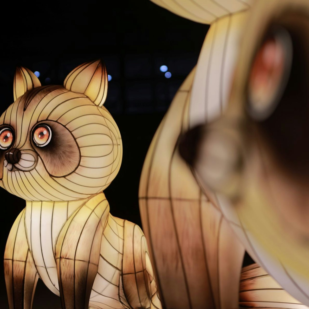 Jardin d'Acclimatation: Japan in Lights in Paris – Tiqets