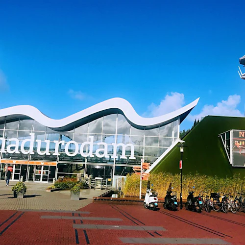 Rotterdam, Delft & The Hague: Day Trip from Amsterdam - Photo 4