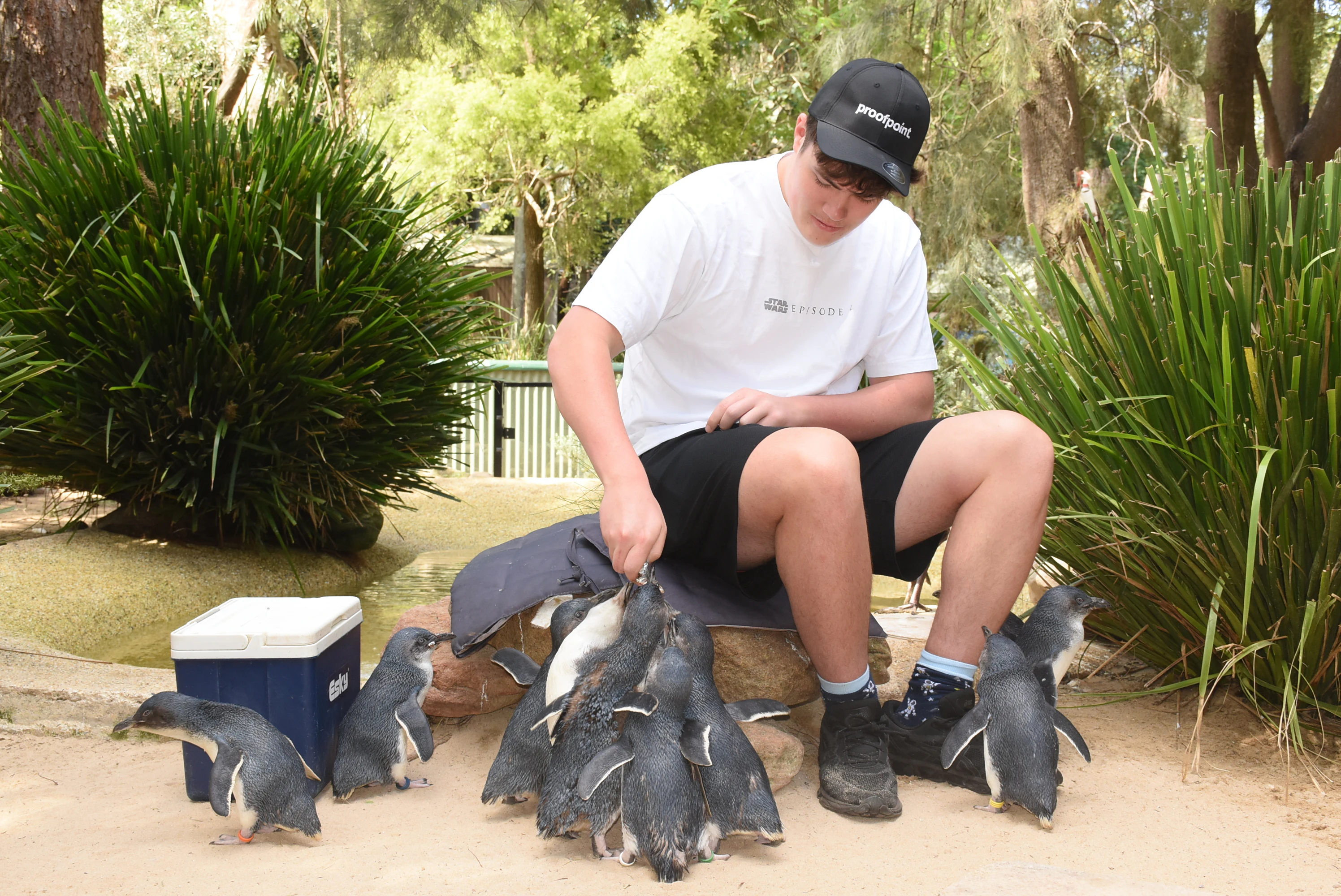 Featherdale Sydney Wildlife Park: General Admission Ticket