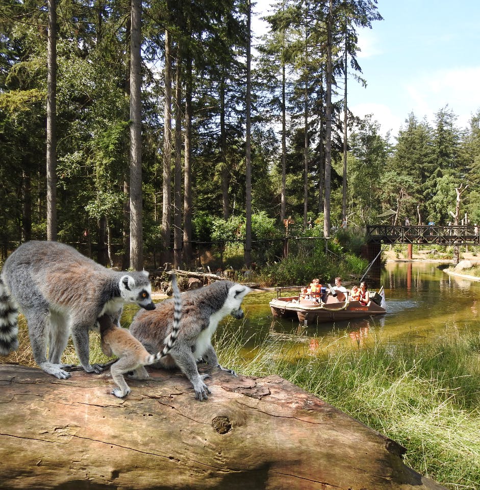 Amersfoort Zoo